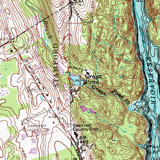 Topographic Map of Grays Pond, CT