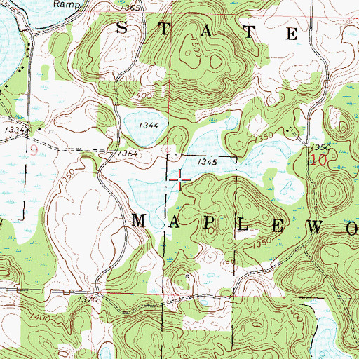 Topographic Map of Lake Field, MN