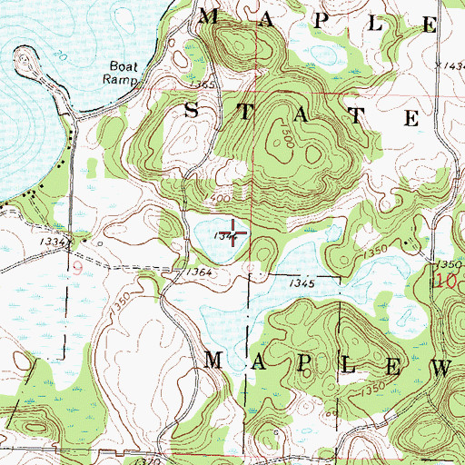 Topographic Map of Andrew Lake, MN