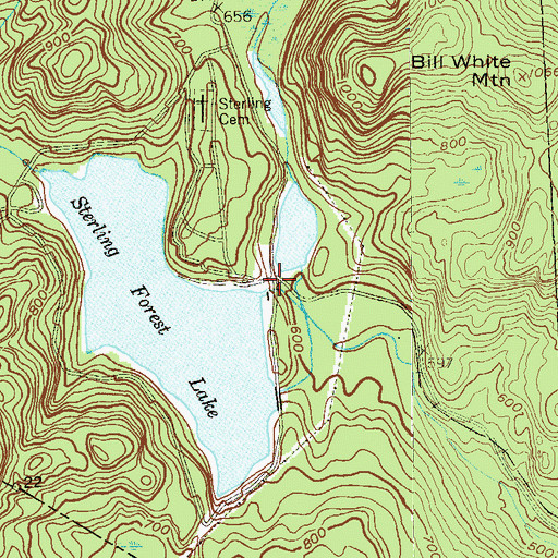 Topographic Map of Sterling Furnace (historical), NY