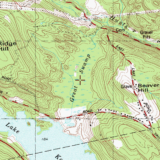 Topographic Map of Great Swamp, CT