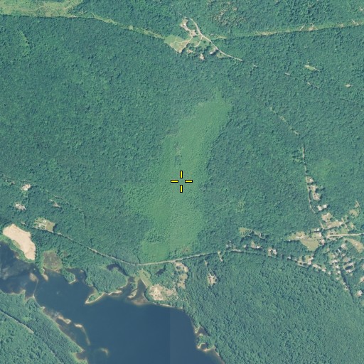 Aerial/Satellite Image of Great Swamp, CT
