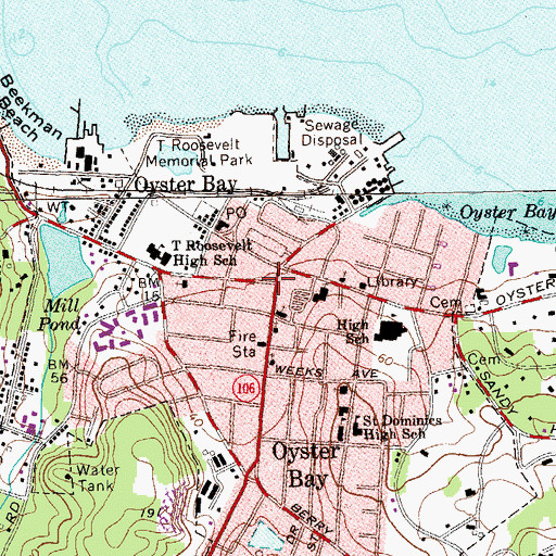 Topographic Map of Raynham Hall Museum, NY