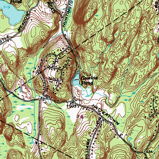 Topographic Map of Guskie Pond, CT