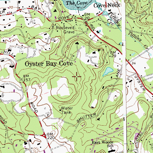Topographic Map of Tiffany Creek Preserve, NY