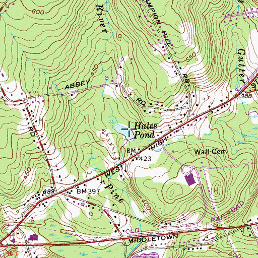 Topographic Map of Hales Pond, CT