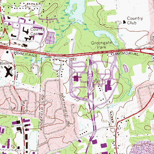 Topographic Map of H Lee Dennison Building, NY