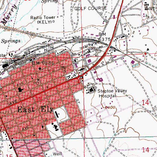 Topographic Map of White Pine Care Center, NV