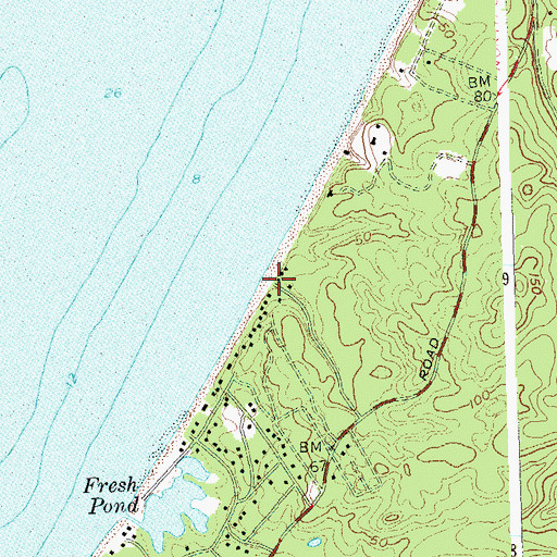 Topographic Map of Whalebone Landing, NY