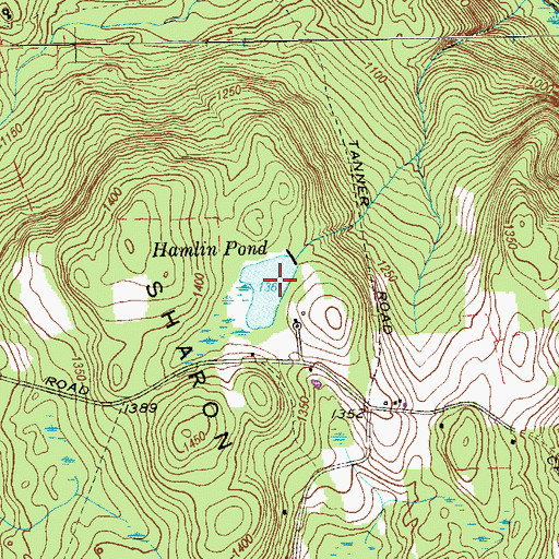 Topographic Map of Hamlin Pond, CT