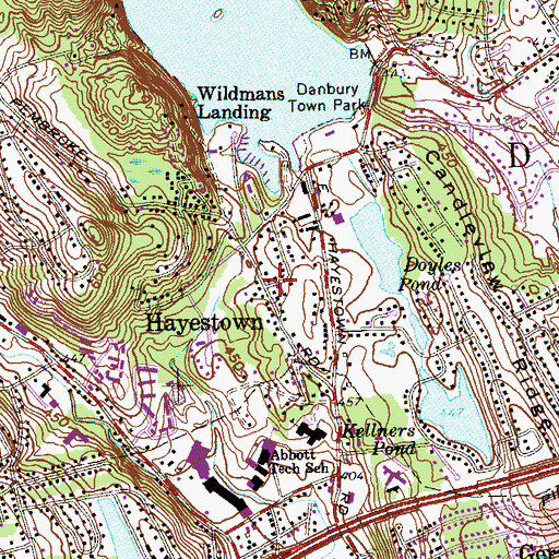 Topographic Map of Hayestown, CT