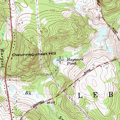Topographic Map of Hayward Pond, CT