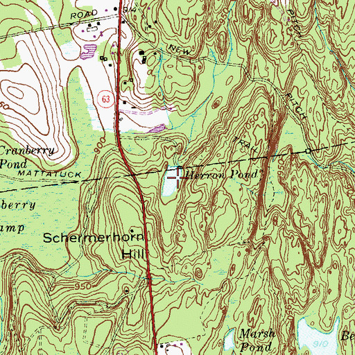Topographic Map of Herron Pond, CT