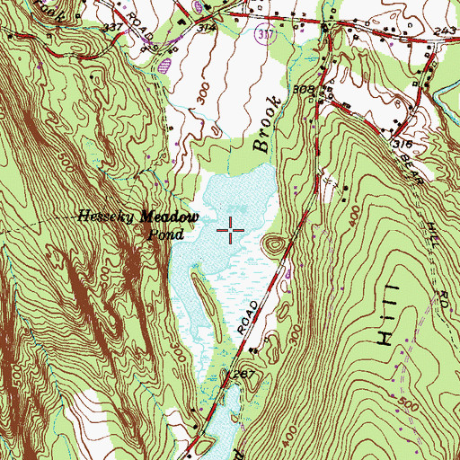 Topographic Map of Hesseky Meadow Pond, CT