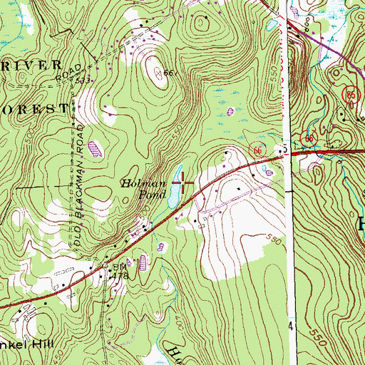 Topographic Map of Holman Pond, CT