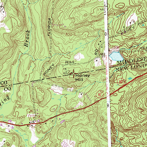 Topographic Map of Honey Hill, CT