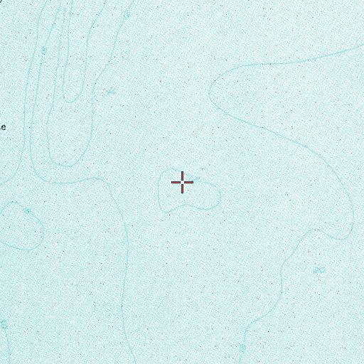 Topographic Map of Coffee Island (historical), AL