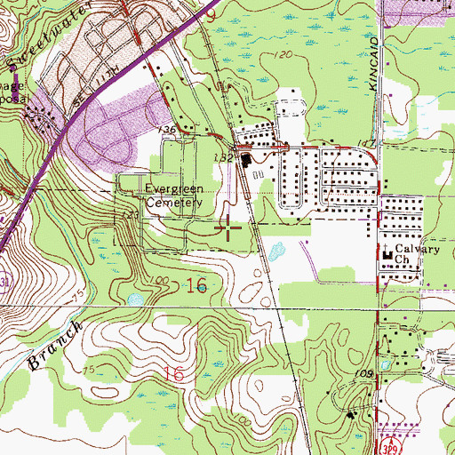 Topographic Map of Pine Grove Cemetery, FL