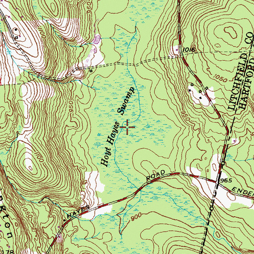Topographic Map of Hoyt Hayes Swamp, CT