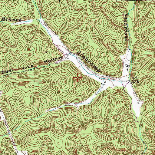Topographic Map of Riddle Cemetery, KY