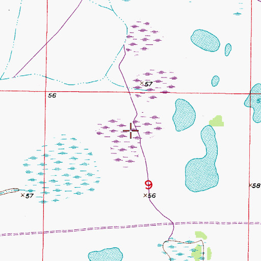Topographic Map of Cartoon Dog Lake, FL