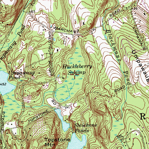 Topographic Map of Huckleberry Swamp, CT