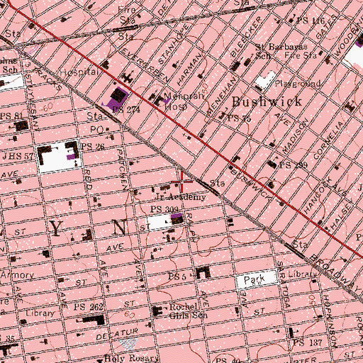Topographic Map of Eightyfirst Precinct Police Station, NY
