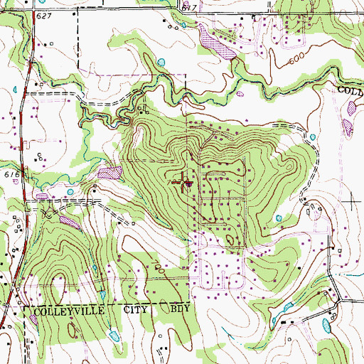 Topographic Map of Mount Donwell, TX