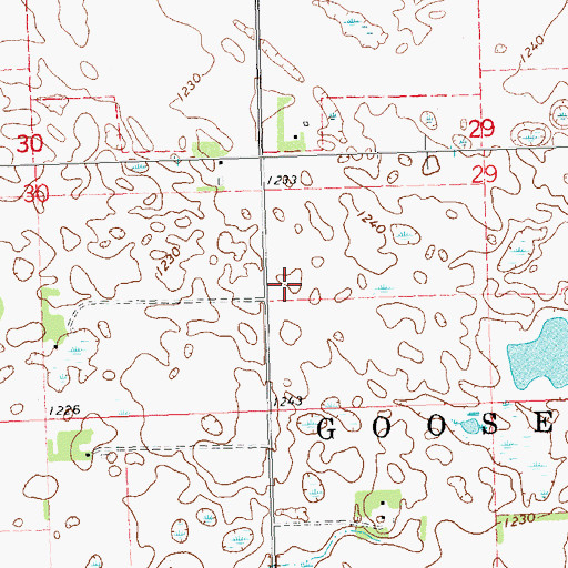 Topographic Map of Salem Lutheran Church, MN