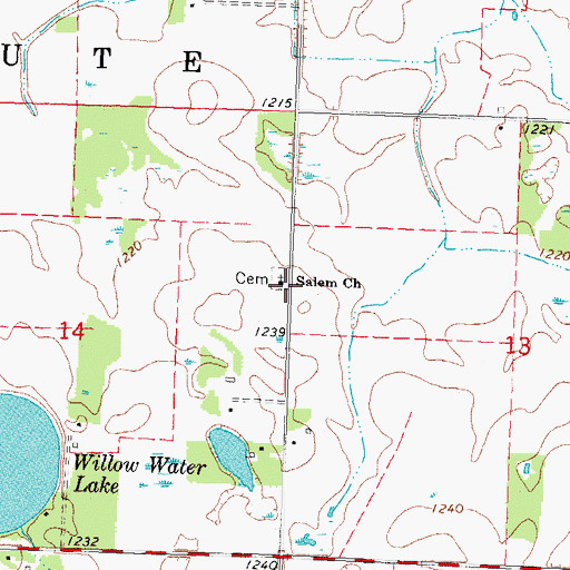 Topographic Map of Salem Cemetery, MN