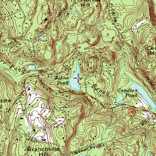 Topographic Map of Johns Pond, CT