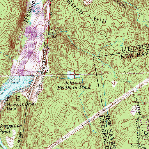 Topographic Map of Johnson Brothers Pond, CT