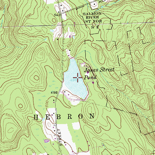Topographic Map of Jones Street Pond, CT