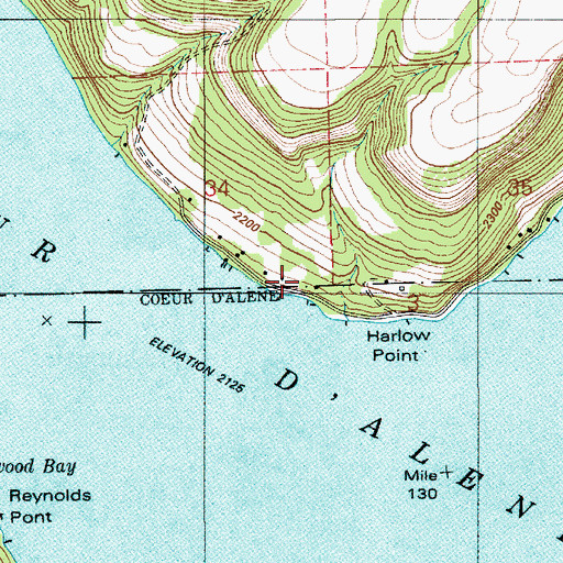 Topographic Map of Ch?'ach'alqw Landing, ID