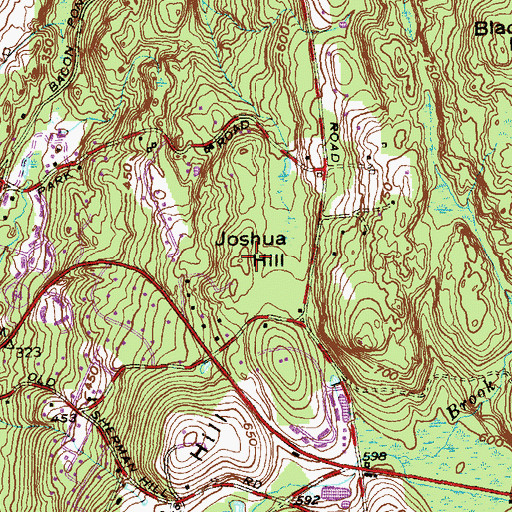 Topographic Map of Joshua Hill, CT
