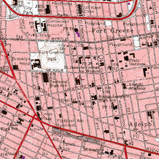 Topographic Map of Junior High School 113, NY