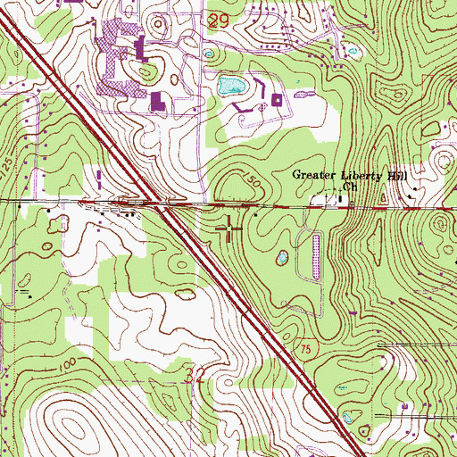 Topographic Map of The Pentecostals, FL