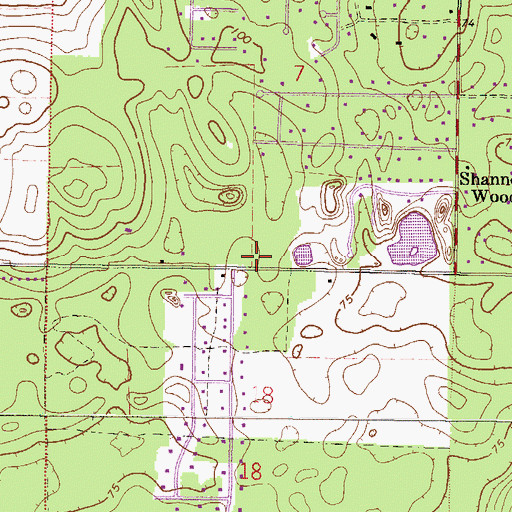 Topographic Map of The Rock of Gainesville, FL