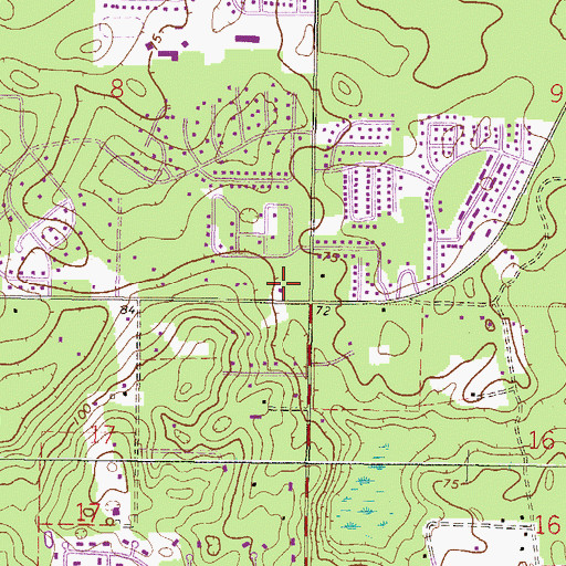 Topographic Map of C C Hope Community Church, FL