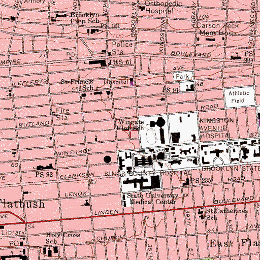 Topographic Map of Public School 397, NY