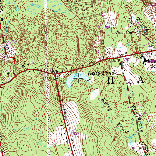 Topographic Map of Kelly Pond, CT