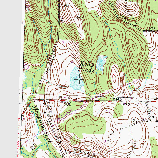 Topographic Map of Kelly Ponds, CT