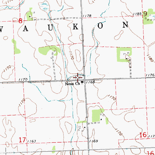 Topographic Map of Ness Lutheran Cemetery, MN