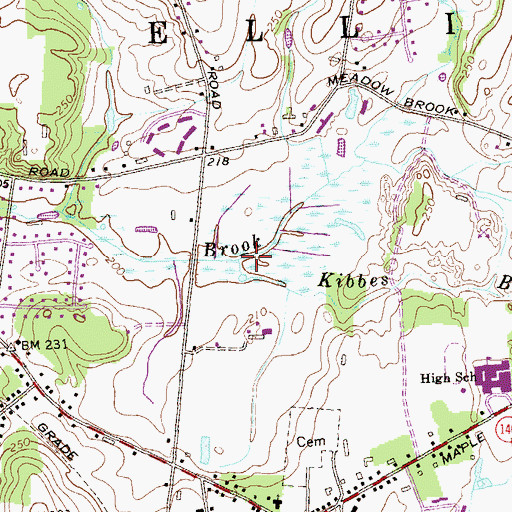 Topographic Map of Kibbes Brook, CT