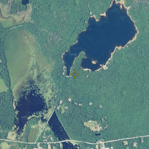 Aerial/Satellite Image of Killingly Pond, CT