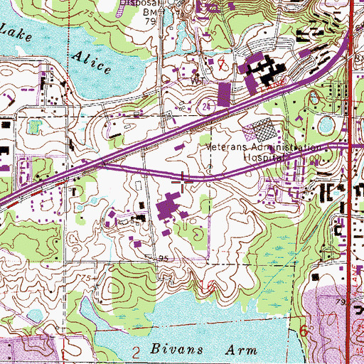 Topographic Map of College of Veterinary Medicine, FL