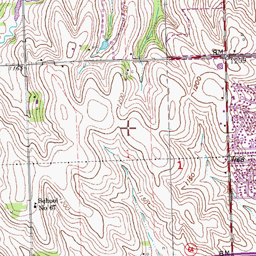Topographic Map of Fullerton Magnet Center, NE