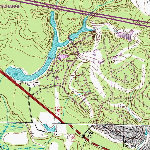Topographic Map of Five Lakes Subdivision, VA
