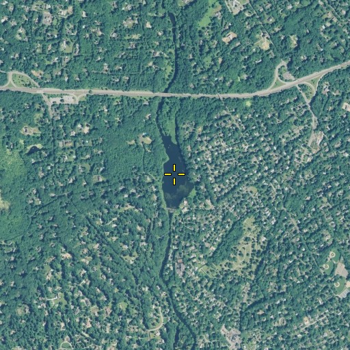 Aerial/Satellite Image of Lee Pond, CT
