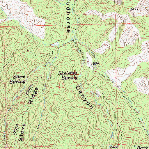 Topographic Map of Skelton Spring, CA